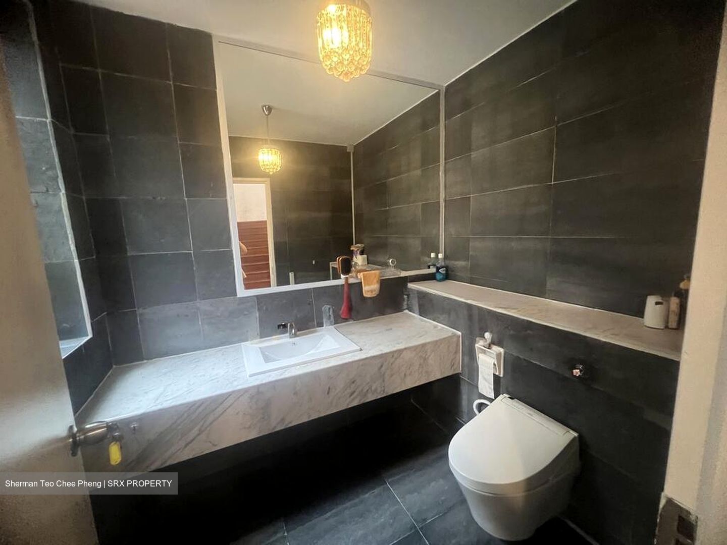 Leedon Park (D10), Detached #497433441